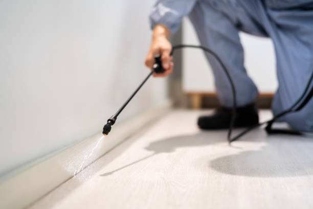 Licensed Termite Control service in Moore County County, NC - Nex Pest Control