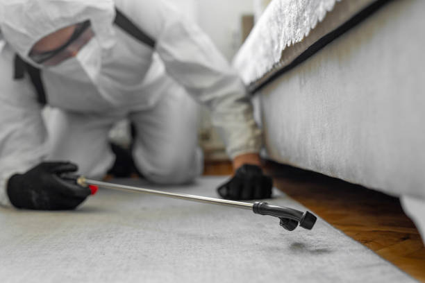 Professional Termite Control technician working in Moore County County, NC